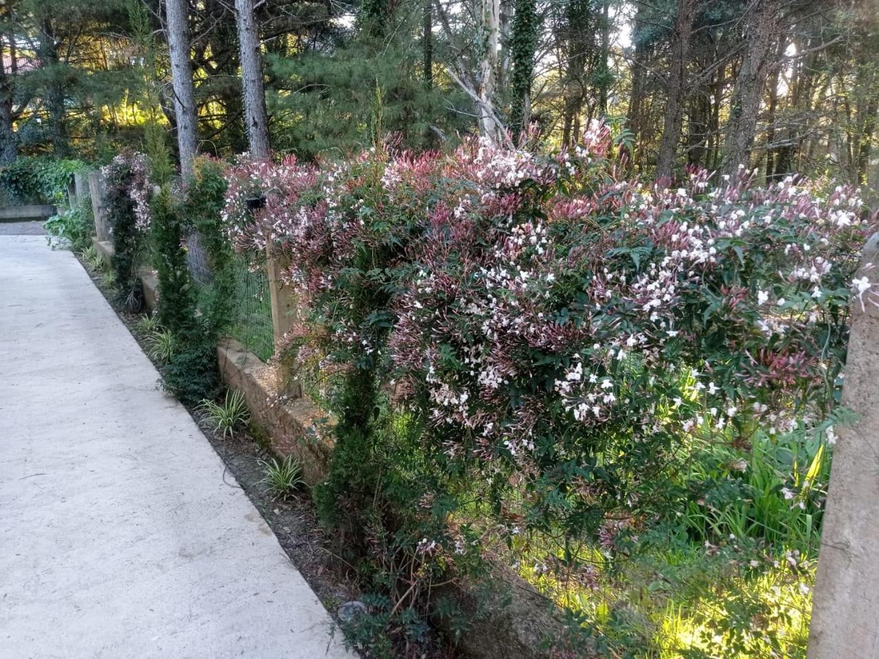 A Vida E Bella - Gramado Rs Apartamento Exterior foto